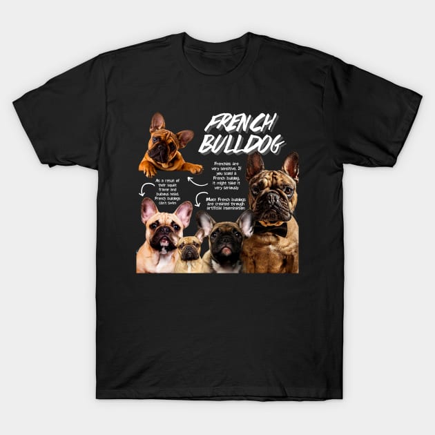 French Bulldog fun Facts T-Shirt by Animal Facts and Trivias